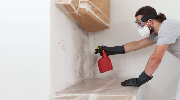 Professional Bathroom Mold Removal technician working in Jamaica Plain, MA